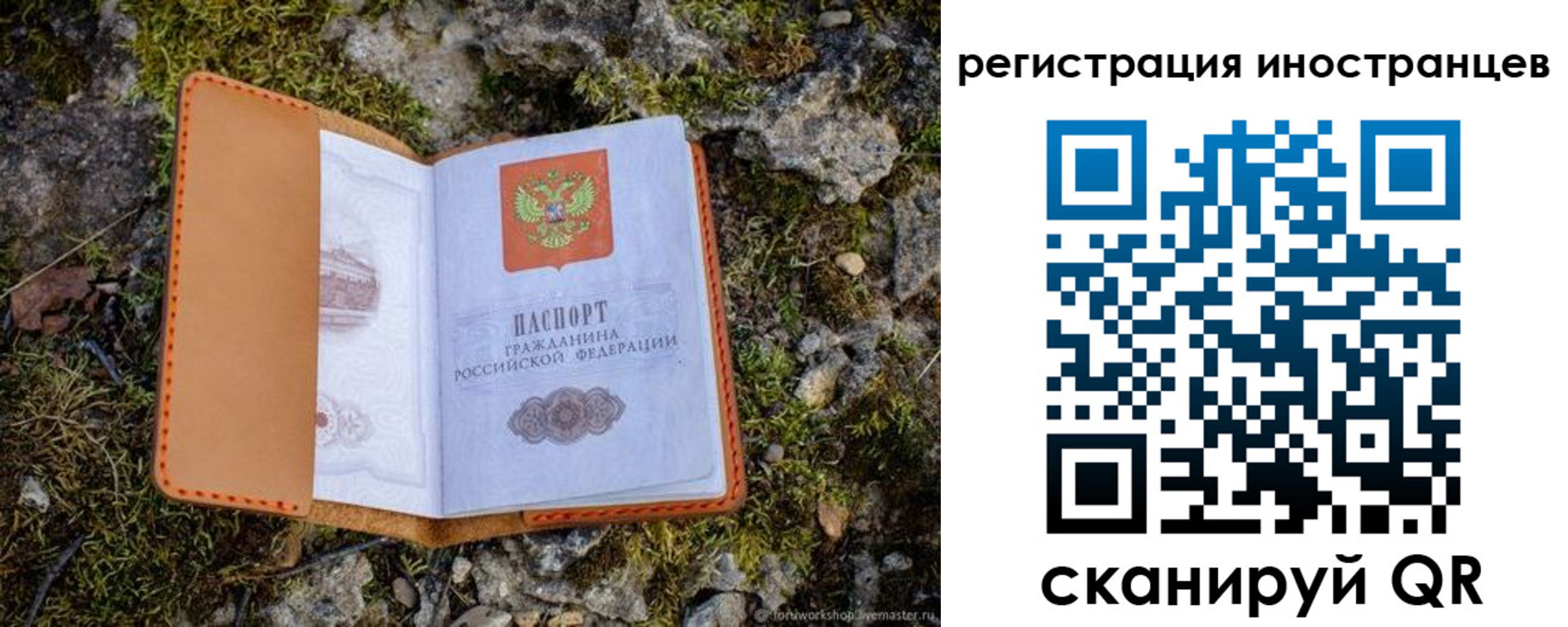 прописка паспорт в Снежинске